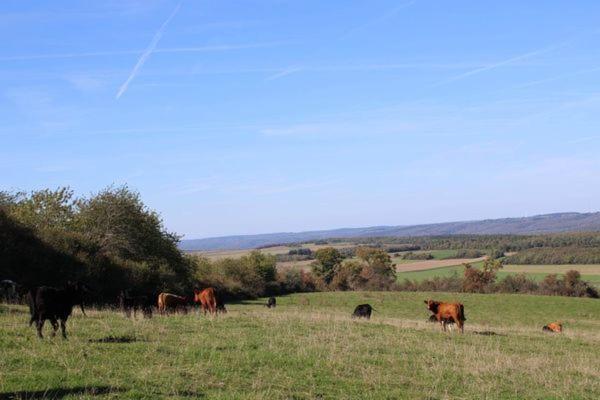 Au Chant Du Coq Wancennes Buitenkant foto